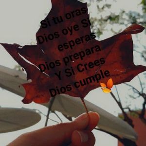 Meet your Posher, Anita